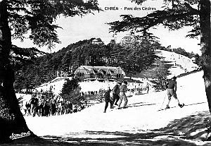 Chrea- Parc national des Cedres